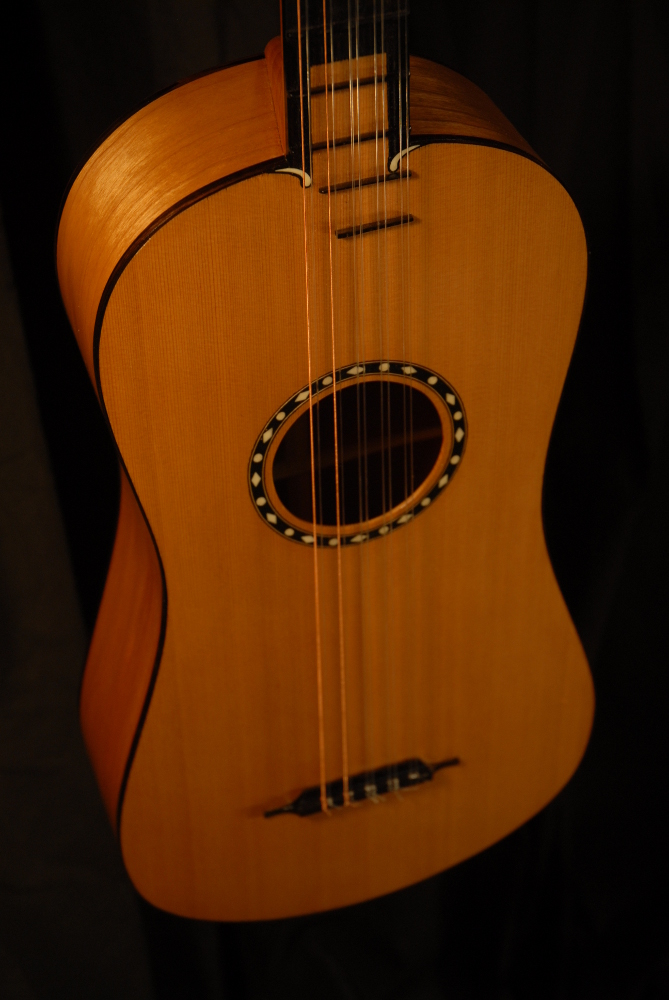 front view of the body of michael mccarten's 10 string baroque guitar model