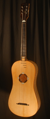 front view of michael mccarten's 10 string baroque guitar model