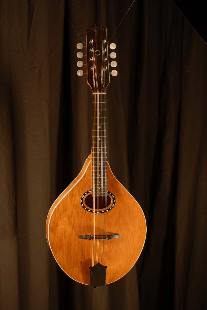 front view of michael mccarten's AO style mandolin model