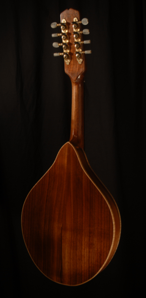 rear view of michael mccarten's AO sharp style mandolin model