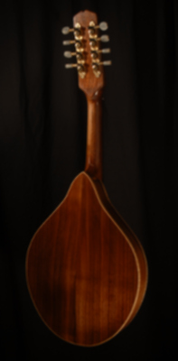 front view of michael mccarten's AO sharp style mandolin model