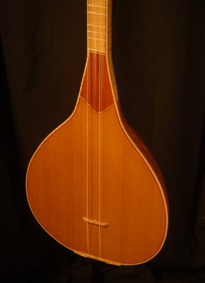 rear view of the body of michael mccarten's gourd body baglama saz