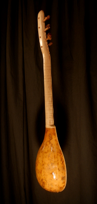 rear view of the body of michael mccarten's gourd body curza saz