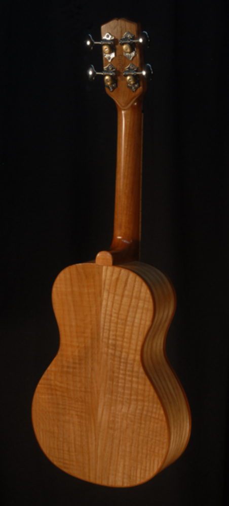 rear view of michael mccarten's Concert flat top ukulele model
