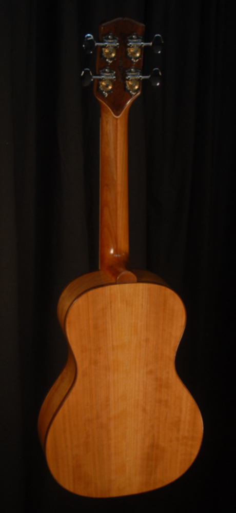 rear view of michael mccarten's Concert flat top ukulele model
