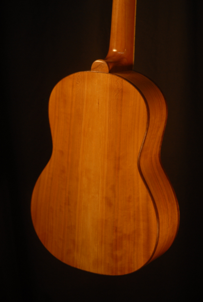 rear view of the body of michael mccarten's Tenor flat top ukulele model