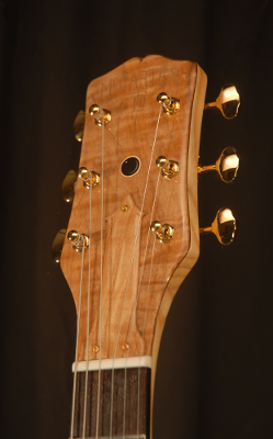 front view of the headstock of michael mccarten's DC13T double cutaway electric guitar model