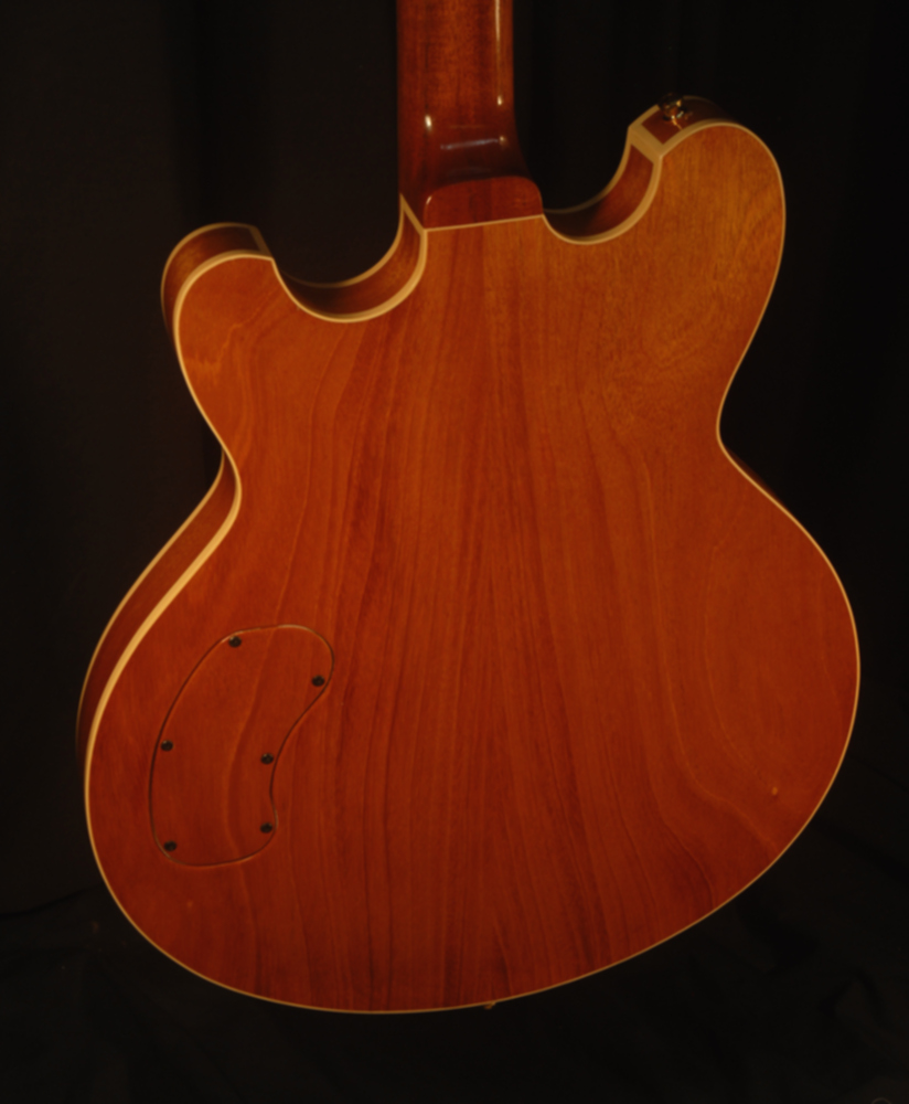 rear view of the body of michael mccarten's DC16 double cutaway semi-hollow electric guitar model