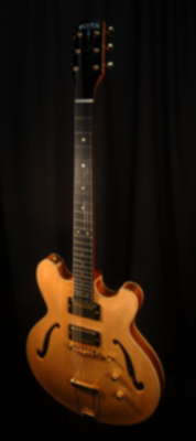 front view of michael mccarten's DC16 double cutaway semi hollowelectric guitar model