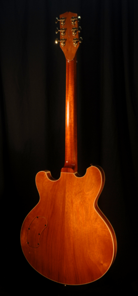 rear view of michael mccarten's DC16 double cutaway semi-hollow electric guitar model