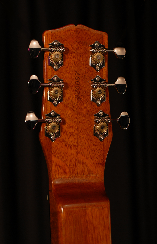 rear head detail view of michael mccarten's custom lapsteel model