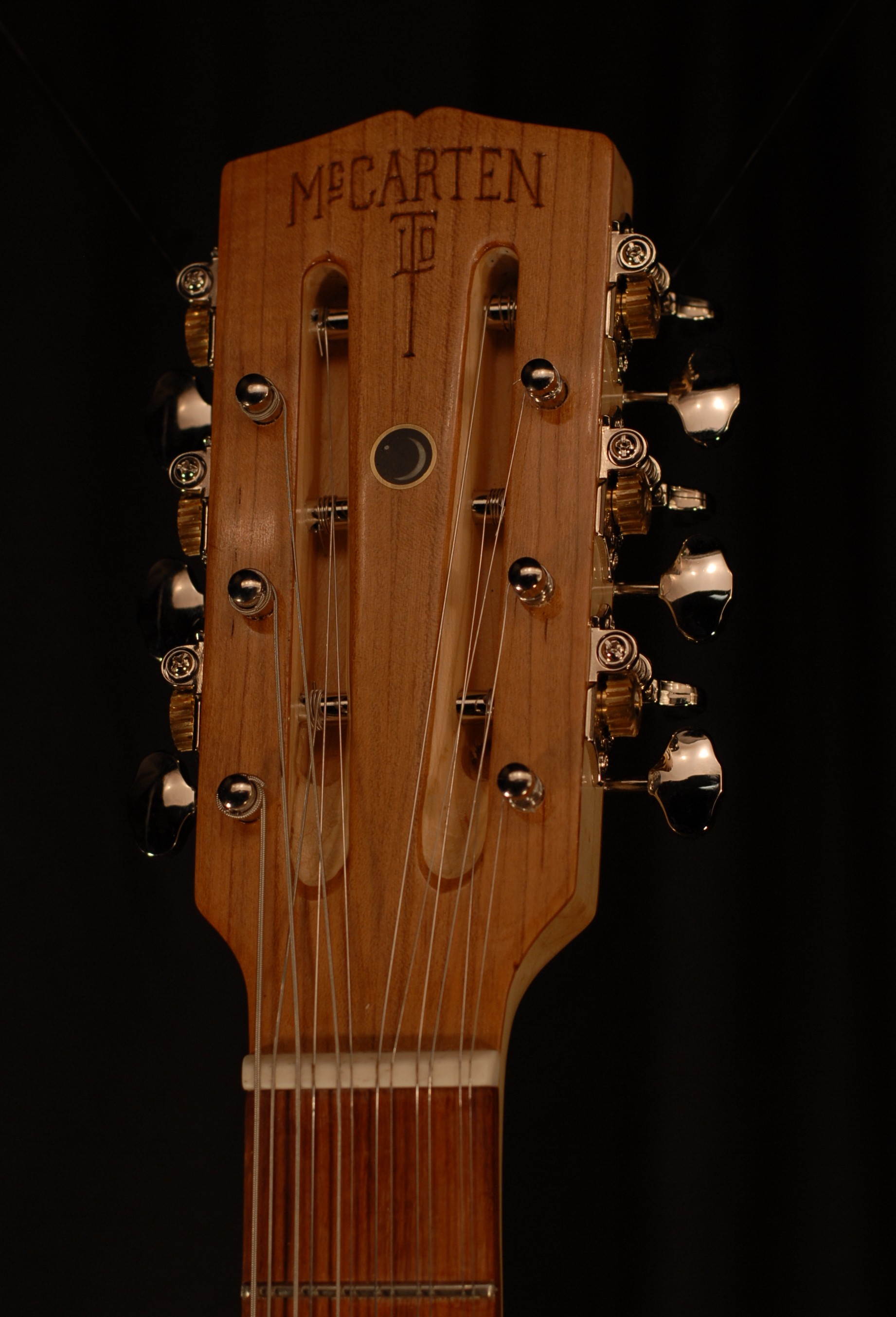 head front view of michael mccarten's double cutaway Electric 12 string guitar model