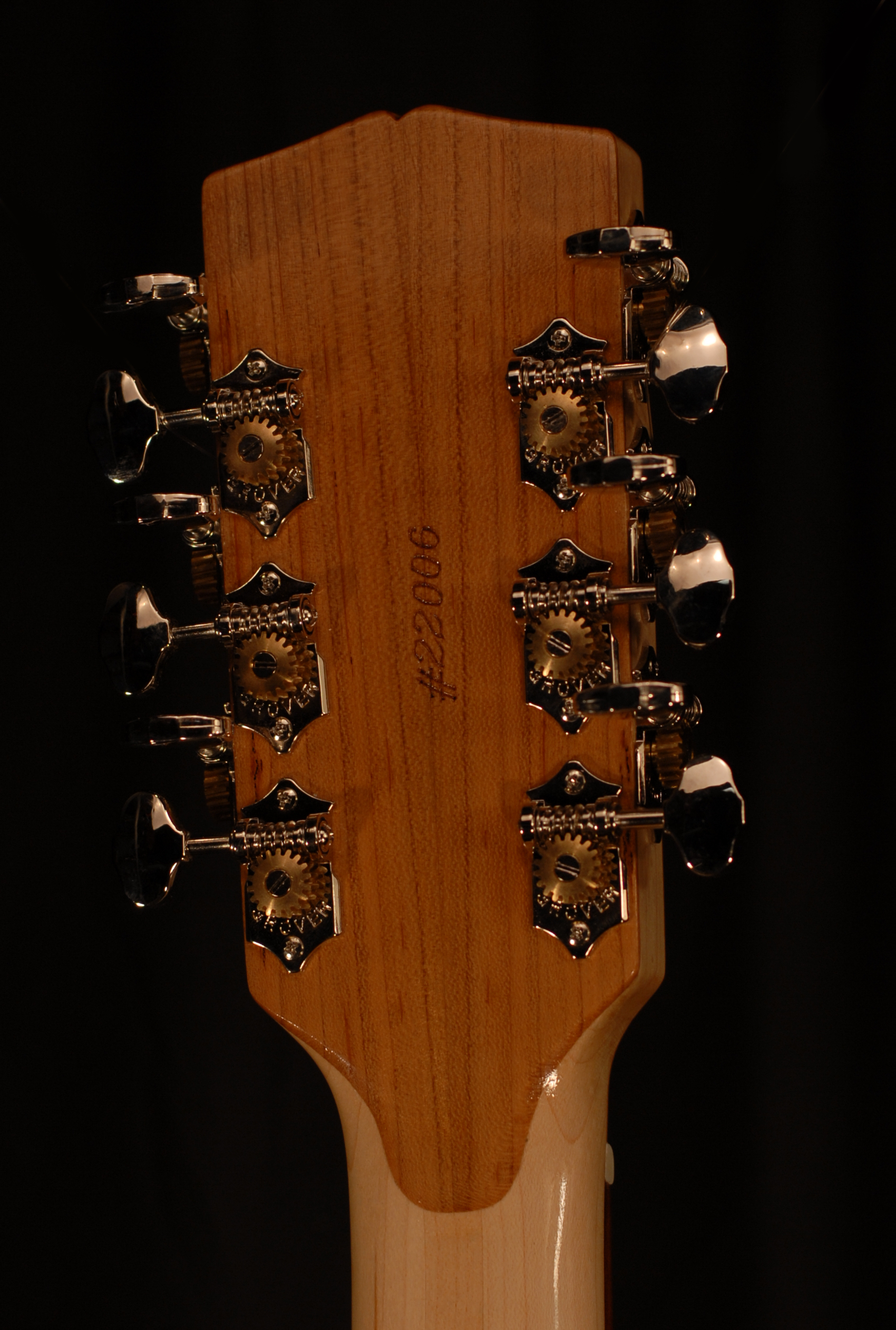 head rear view of michael mccarten's double cutaway Electric 12 string guitar model