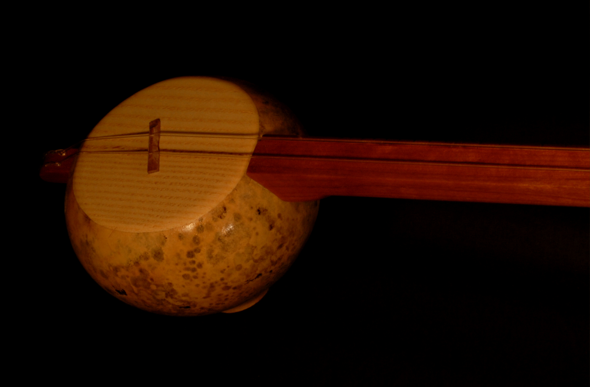 front view of the body of michael mccarten's gourd body tinh tau