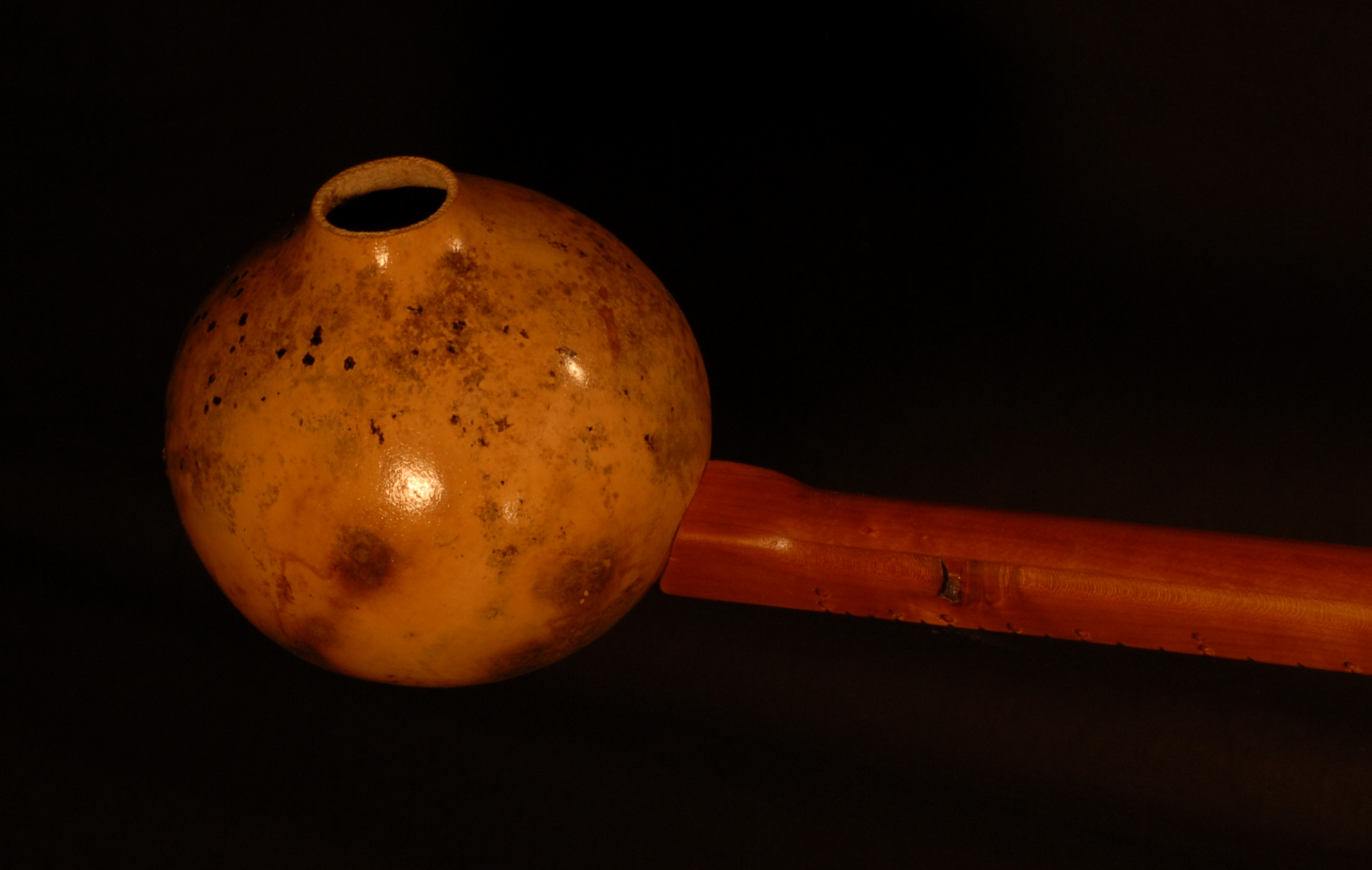 rear view of the body of michael mccarten's gourd body tinh tau