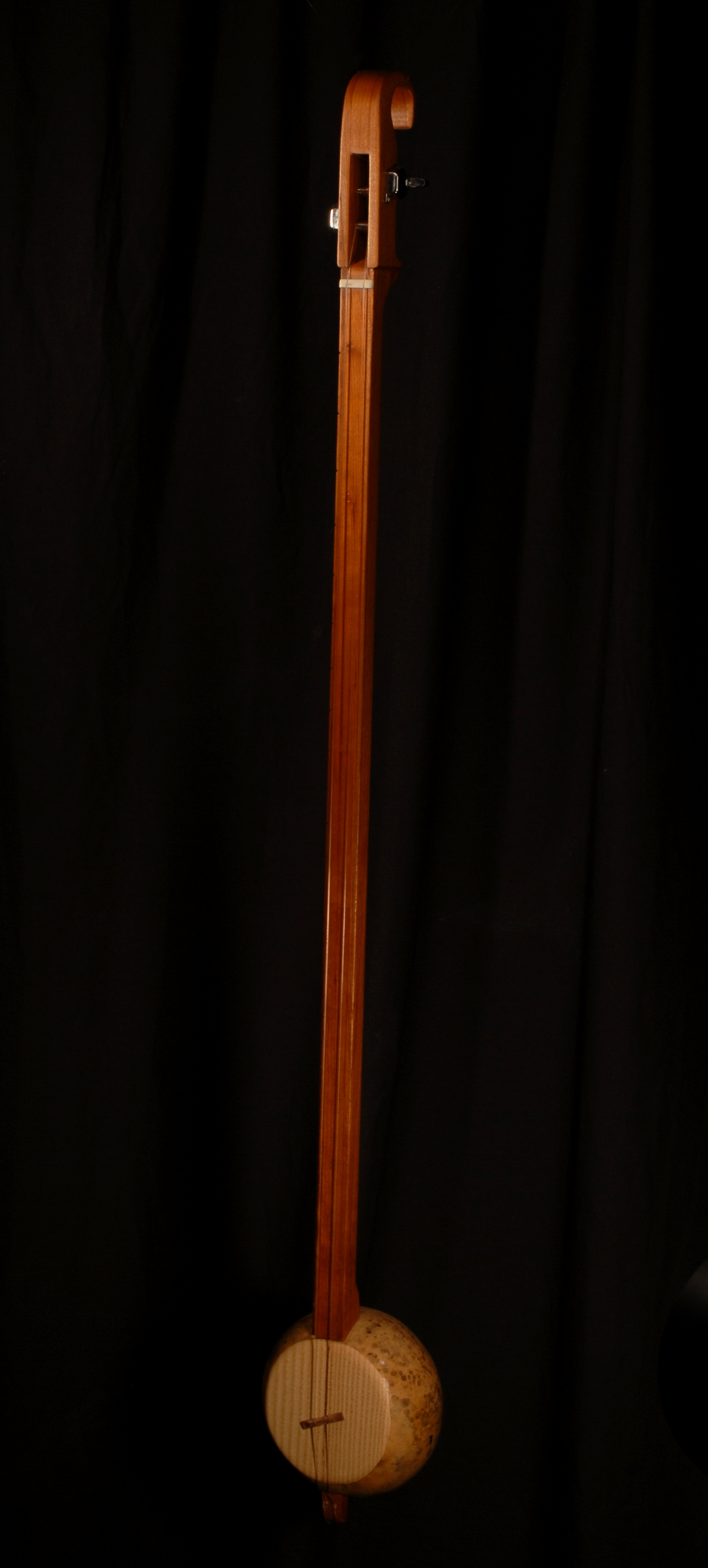 front view of michael mccarten's gourd body Tinh Tau