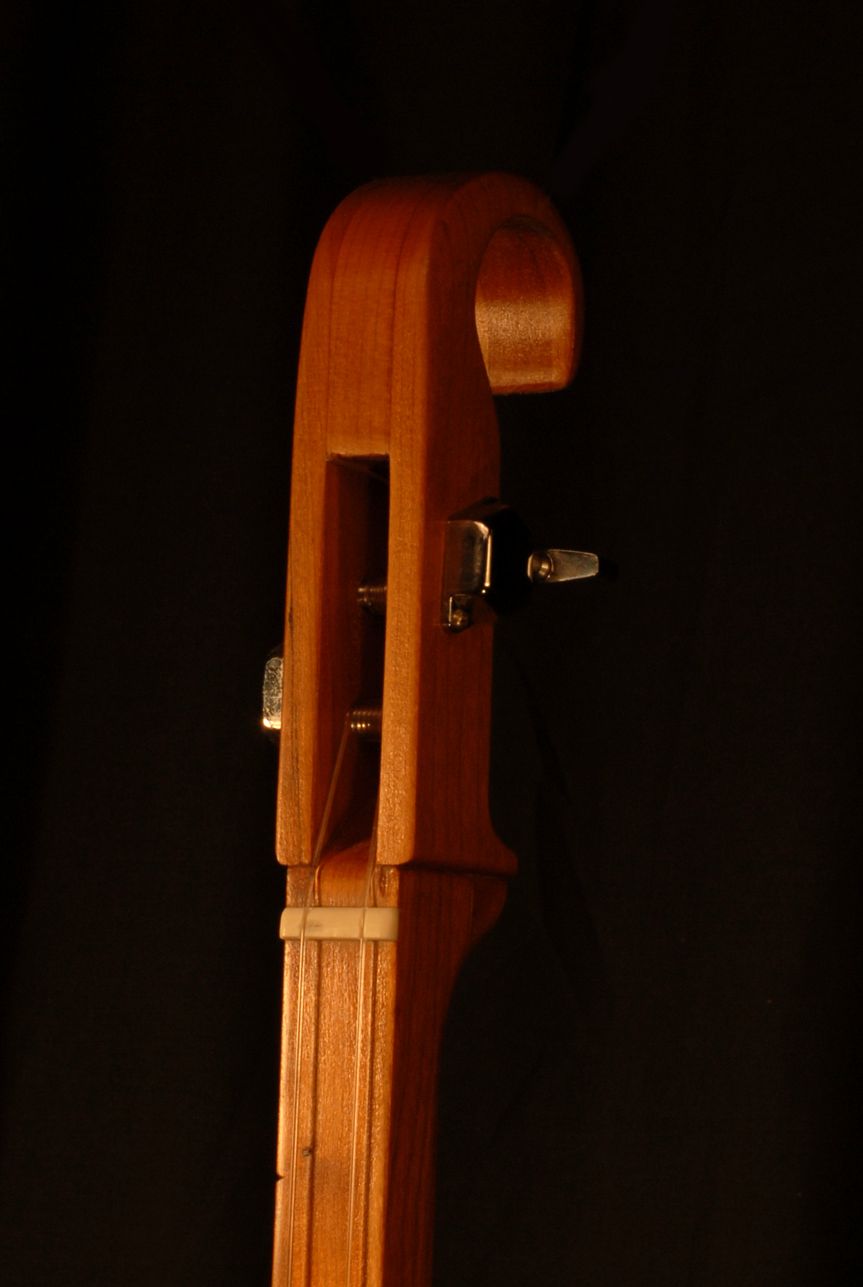 front view of the head of michael mccarten's gourd body tinh tau