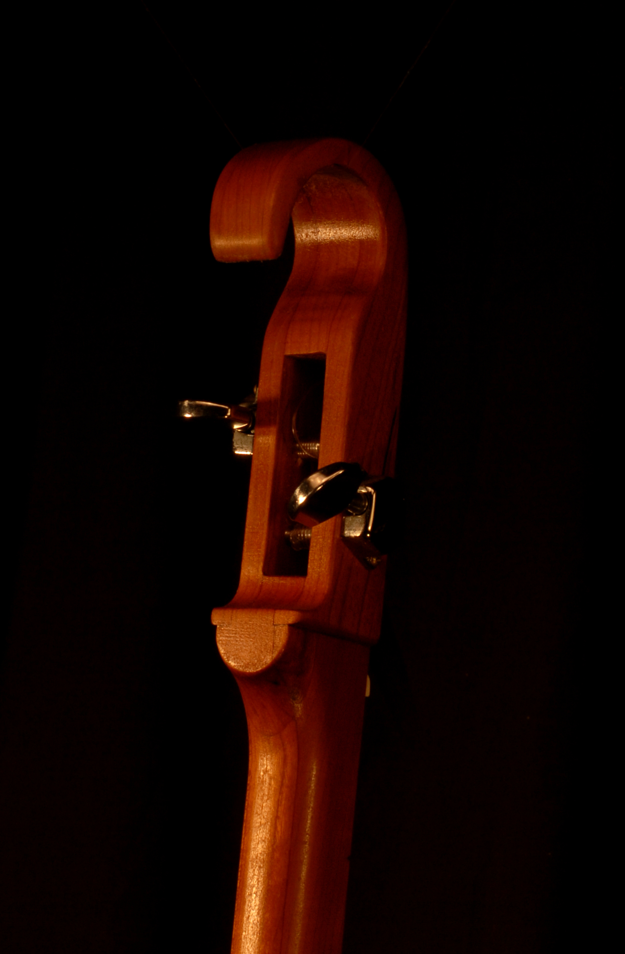 front view of the head of michael mccarten's gourd body tinh tau