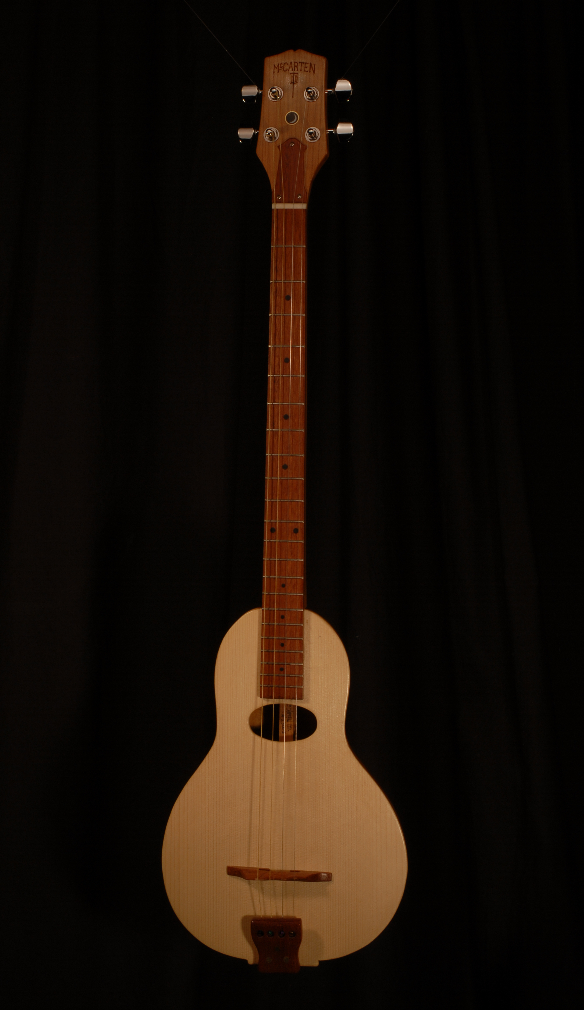 front view of michael mccarten's gourd body Tenor Guitar