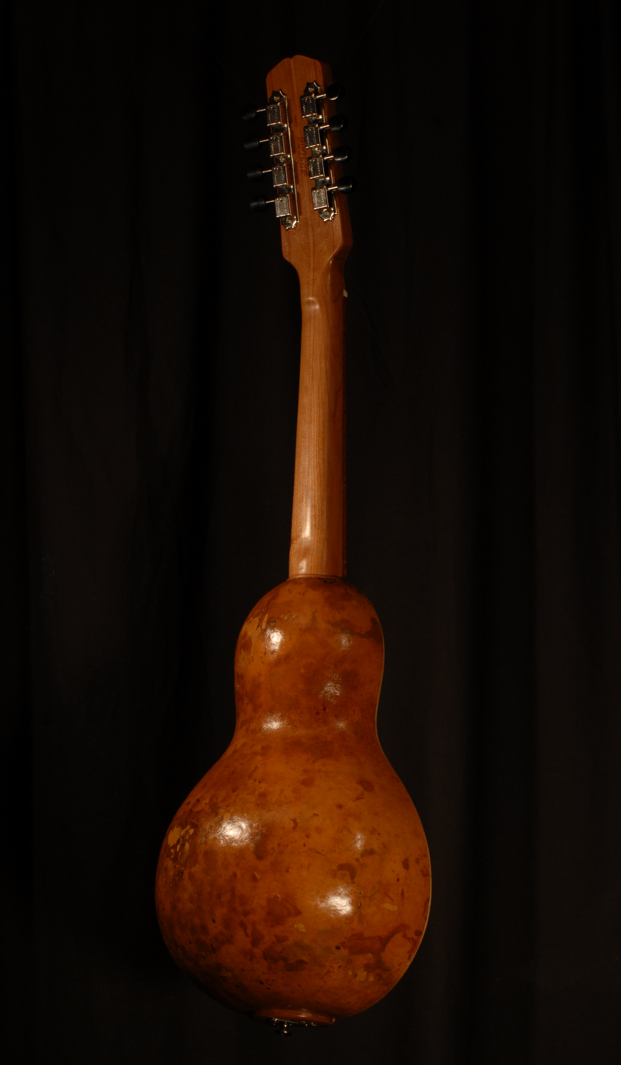 rear view of michael mccarten's gourd body Mandola